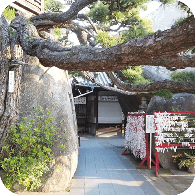 写真:神社の大きな岩と木とおみくじ結び所