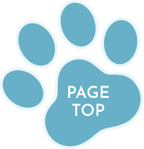 文字:PAGE TOP